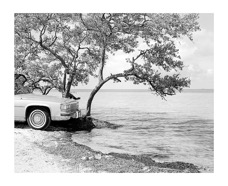 Cadillac on Key Biscayne 2.jpg