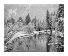 Yosemite snow1 copy.jpg