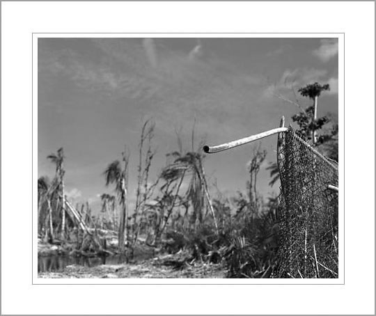 Field and Pipe, After Hurricane
