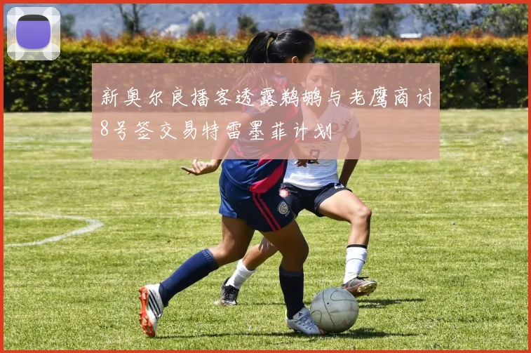 新奥尔良播客透露鹈鹕与老鹰商讨8号签交易特雷墨菲计划